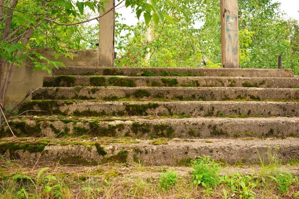 Vecchi gradini di cemento ricoperti di muschio verde . — Foto Stock