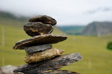 Güzel dağ ve orman manzara.