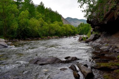 Güzel dağ ve orman manzara.