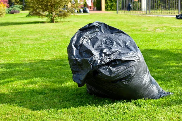 Grande saco de lixo preto no relvado. Limpeza da área . — Fotografia de Stock