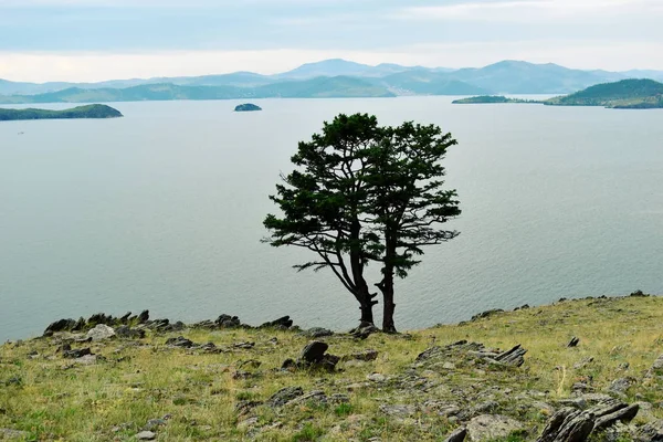 Hermoso paisaje de montaña y bosque . — Foto de Stock