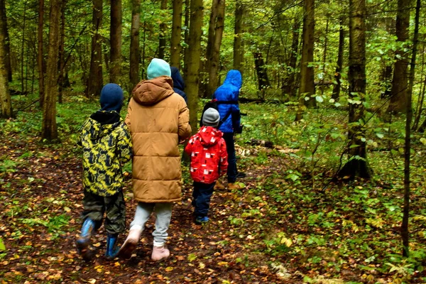 A group of children walks in the autumn forest — Stock Photo, Image