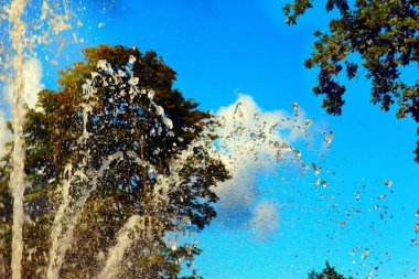 Güzel renkli yaz doğal manzara. 