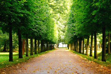 Sonbahar ıssız şehir parkı.