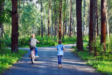Çocuklar ormanda yürüyor..