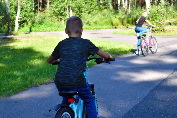 Діти на велосипедах у літньому лісі. Брат і сестра Ріс — стокове фото