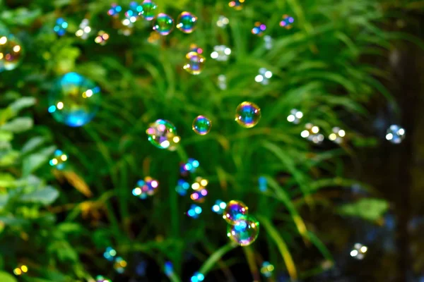 Soap bubbles on a natural green background. — Stock Photo, Image