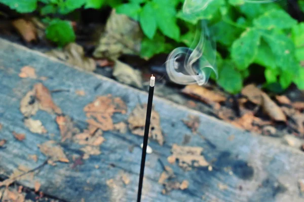 Incense stick in nature. Incense stick for meditation. — Stock Fotó