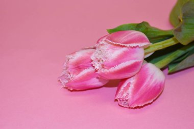 Anneler Günü geçmişi. Kopyalama alanı.