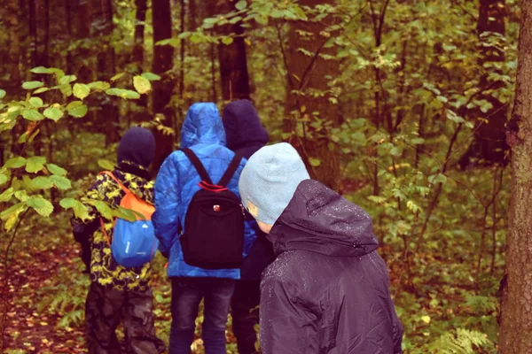 Sonbaharda ormandaki bir grup çocuk. — Stok fotoğraf