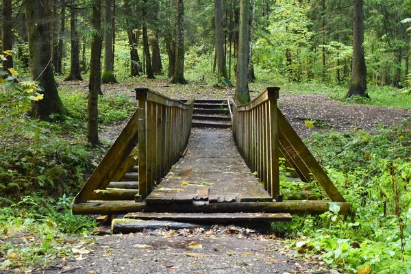 Puente de madera en el bosque. — Foto de Stock