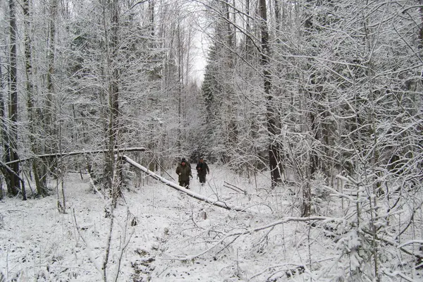 Los cazadores regresan de cazar del bosque. Pintoresco invierno — Foto de Stock