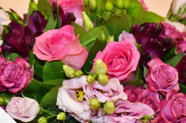 Çiçekli, canlı bir geçmişi var. Parlak kokulu renk çiçekleri.