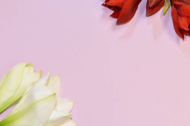 Pastel pembe arka planda taze çiçekler. Kart tasarımını tebrik ederim.