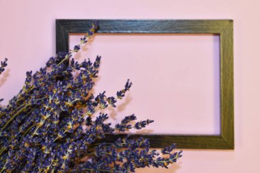 Pembe arka planda mor lavanta. Kartpostal kaynak biçimi.