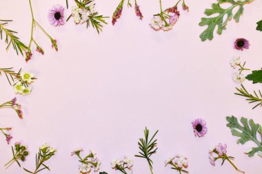 Pastel pembe arka planda taze çiçekler. Tebrikler tasarım.