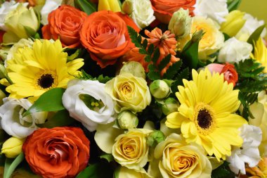 Çiçek açan canlı bir arka plan. 8 Mart.