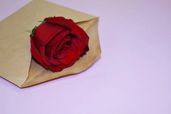 선물 디자이너는 글을 쓸 수있는 장소와 함께 꽃을 피운다. 장미가 담긴 종이 봉투. — 스톡 사진