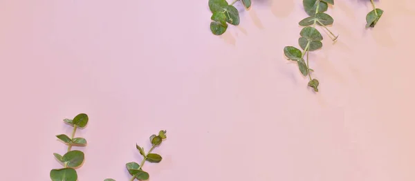 Designer flower arrangement on pink background with copy space.