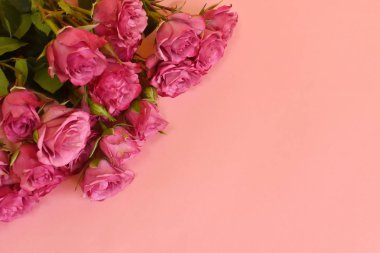 Pembe arka planda, metin için yeri olan yumuşak çiçekler.