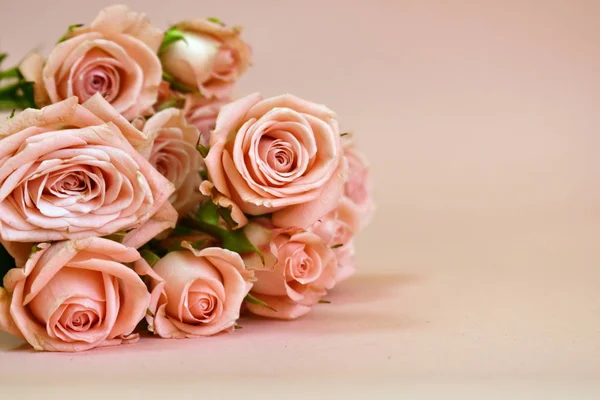 Floral tender pink background for the designer. — Stock Photo, Image