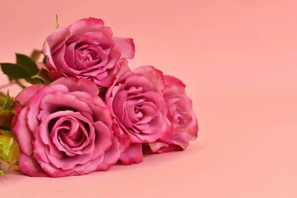 여성의 일상에 맞는 카드네요. 활달 한 꽃이 달린 매혹적 인 간단 한 디자인. — 스톡 사진