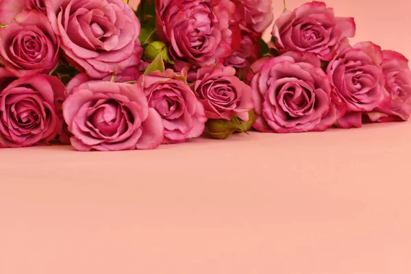 Fondo rosa tierno floral para el diseñador . —  Fotos de Stock