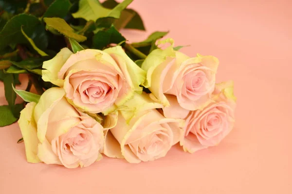 Gentle flowers on a pink background close-up with place for text — Stock Photo, Image