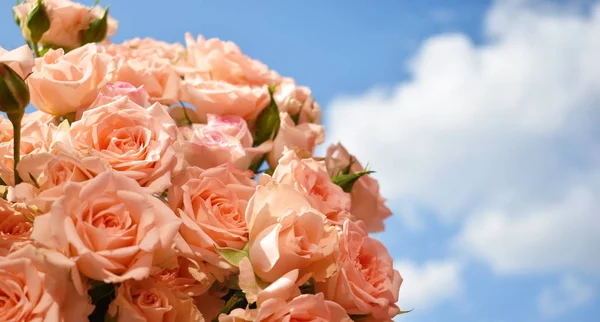 Día de la madre fondo floral. Flores florecientes para mamá — Foto de Stock