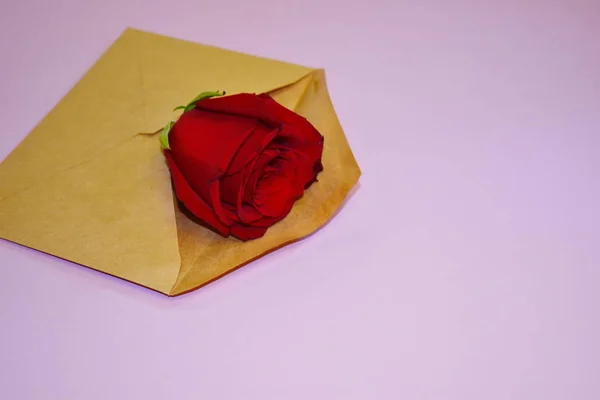 편지 봉투에 적신 붉은 꽃의 꽃봉오리. — 스톡 사진