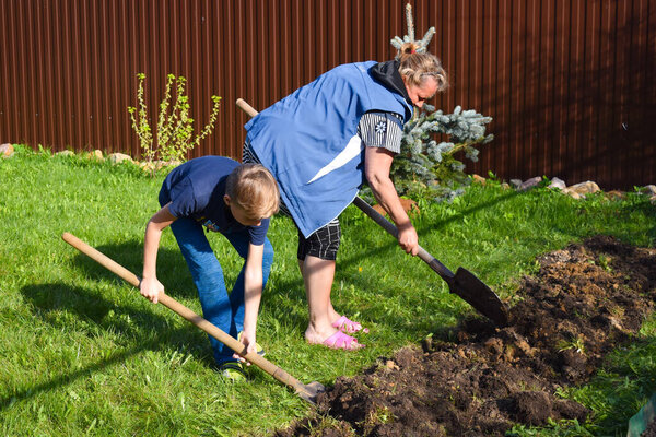 older woman with a boy working in the garden. Grandmother and grandson  gardening. Boy child helps an old woman in the garden.