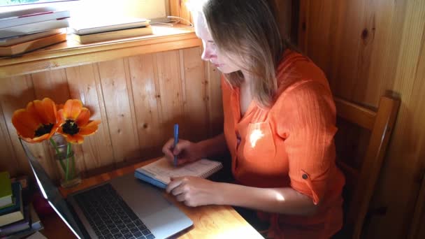 在窗边的木屋里工作的年轻女人在网上工作. — 图库视频影像