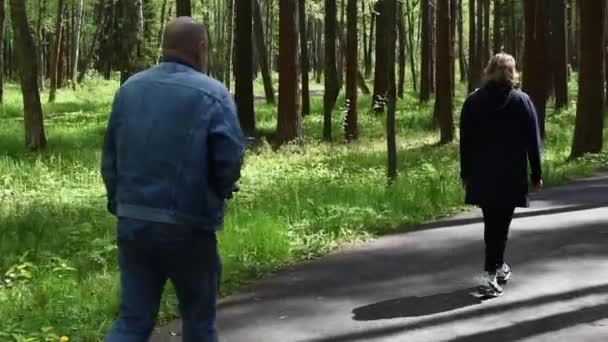 Roof en moord op een vrouw in het stadspark. gevaar om alleen in het bospark te lopen — Stockvideo