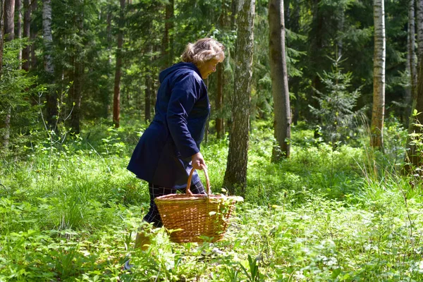 Mulher colhedora de cogumelos caminha na floresta com uma cesta de vime no verão — Fotografia de Stock