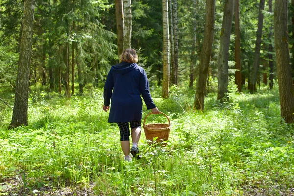 Сбор грибов женщина ходит в лес с плетеной корзиной летом — стоковое фото