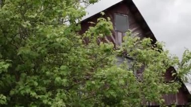 Terk edilmiş eski evlerin olduğu bir manzara. Açık kapılı, yabani otların olduğu çalılıklar.