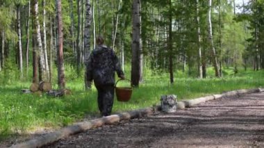 Ormandaki ağaç kütüğünün üzerinde oturuyor ve bakın. Gezgin kadın yürüyüş yapıyor.