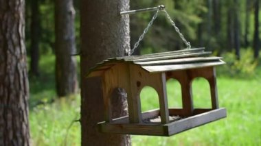 Vahşi hayvanları ve kuşları korumak için. Korunmuş orman Yiyeceği olan kuş evi..