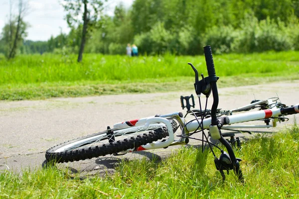 Bike rides in the park in summer, active sports — Stock Photo, Image