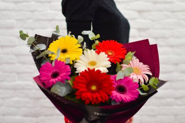 Çok renkli papatya buketi. Pakette parlak renkli çiçekler