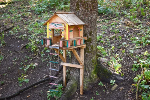 Casa de pájaros hecha a mano en el parque, casa de pájaros de madera en el árbol. cuidado de las aves silvestres —  Fotos de Stock