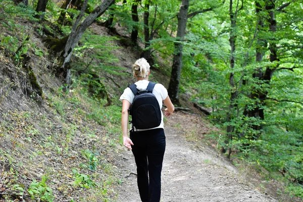 Natureza pitoresca para caminhadas e relaxamento. Mulher turista viaja sozinho. — Fotografia de Stock