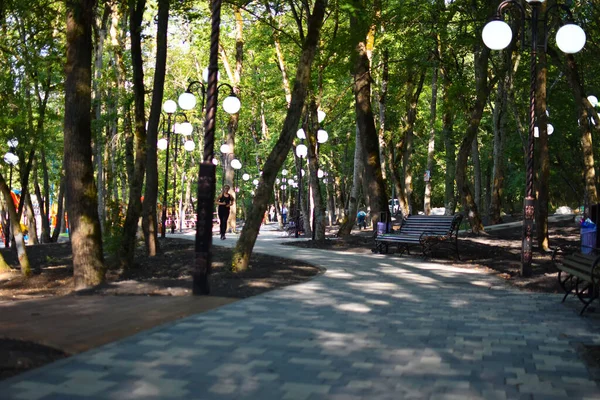 Zomer pittoresk park met weg- en straatlantaarns. Weg in groen stadsbos. — Stockfoto