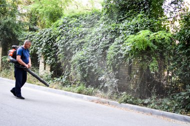 Yoldan yaprakları temizliyorum. Yol temizliği..