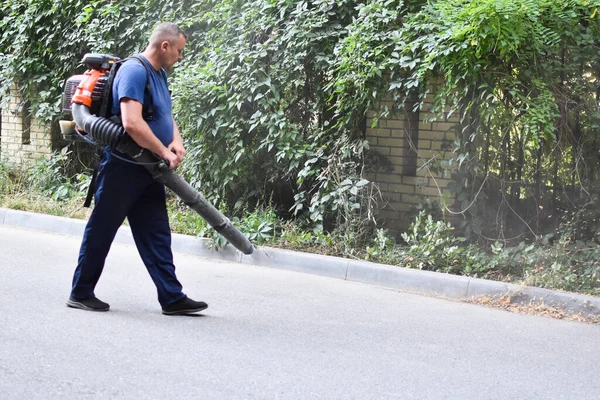 Clearing leaves from the road. Road cleaning outside.