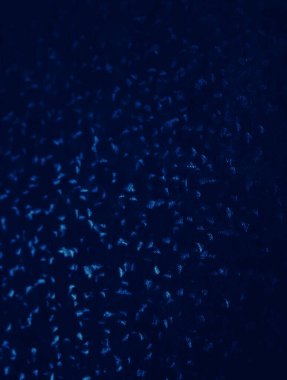 GRAPHIC DESIGN 'İN DARK BÖLGESİ