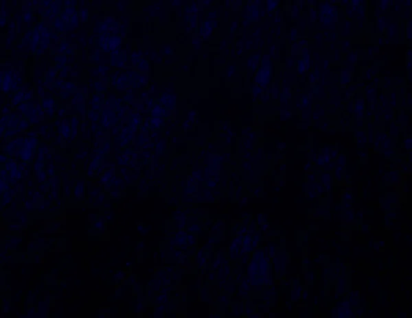 DARK BLUE HÁTTÉR A GRAFIKUS TERVEZÉSI TEXTÚRA — Stock Fotó