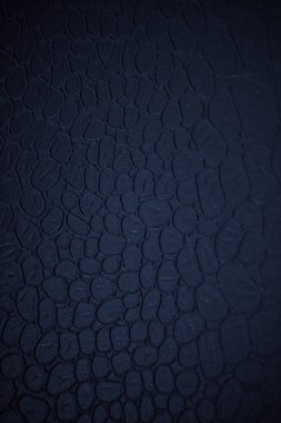 GRAPHIC DESIGN 'İN Koyu mavi zemin