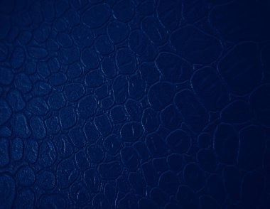 GRAPHIC DESIGN 'İN DARK BÖLGESİ