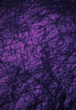 GRAPHIC DESİGN MAUVE BÖLGESİ